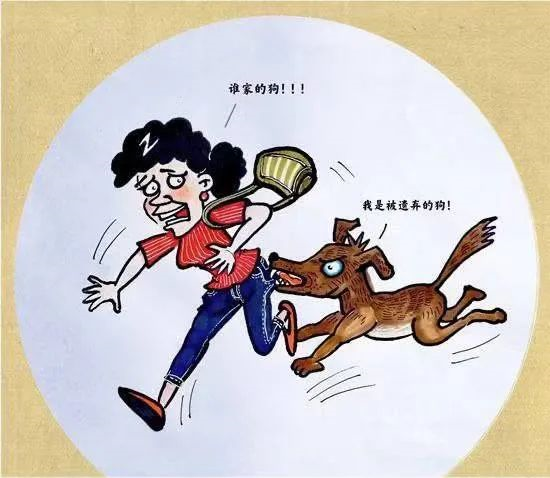 在小区内被流浪狗咬伤,物业需不需要承担责任?
