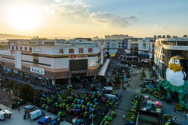 "亚洲花都"呈贡斗南 总有你想要的浪漫