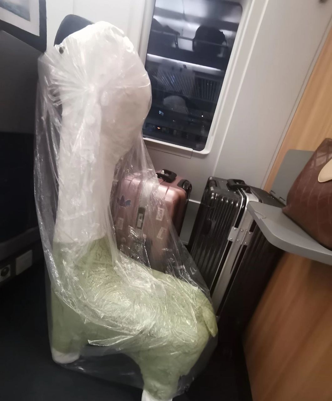 临时出差,由于着急赶车,时间也不长就两三个小时,没座位了就买了无座