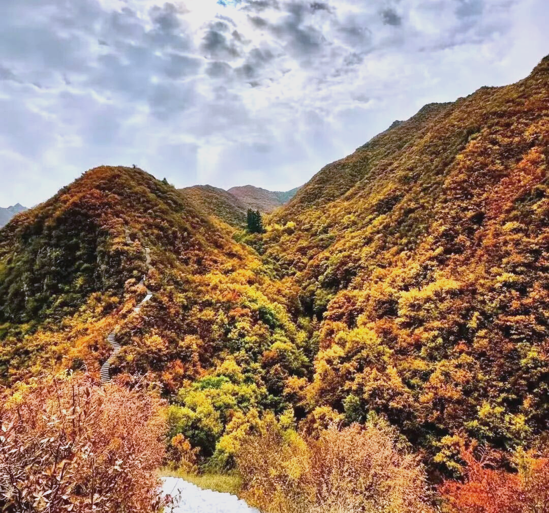 永靖抱龙山秋游指南:彩林与登高的完美结合