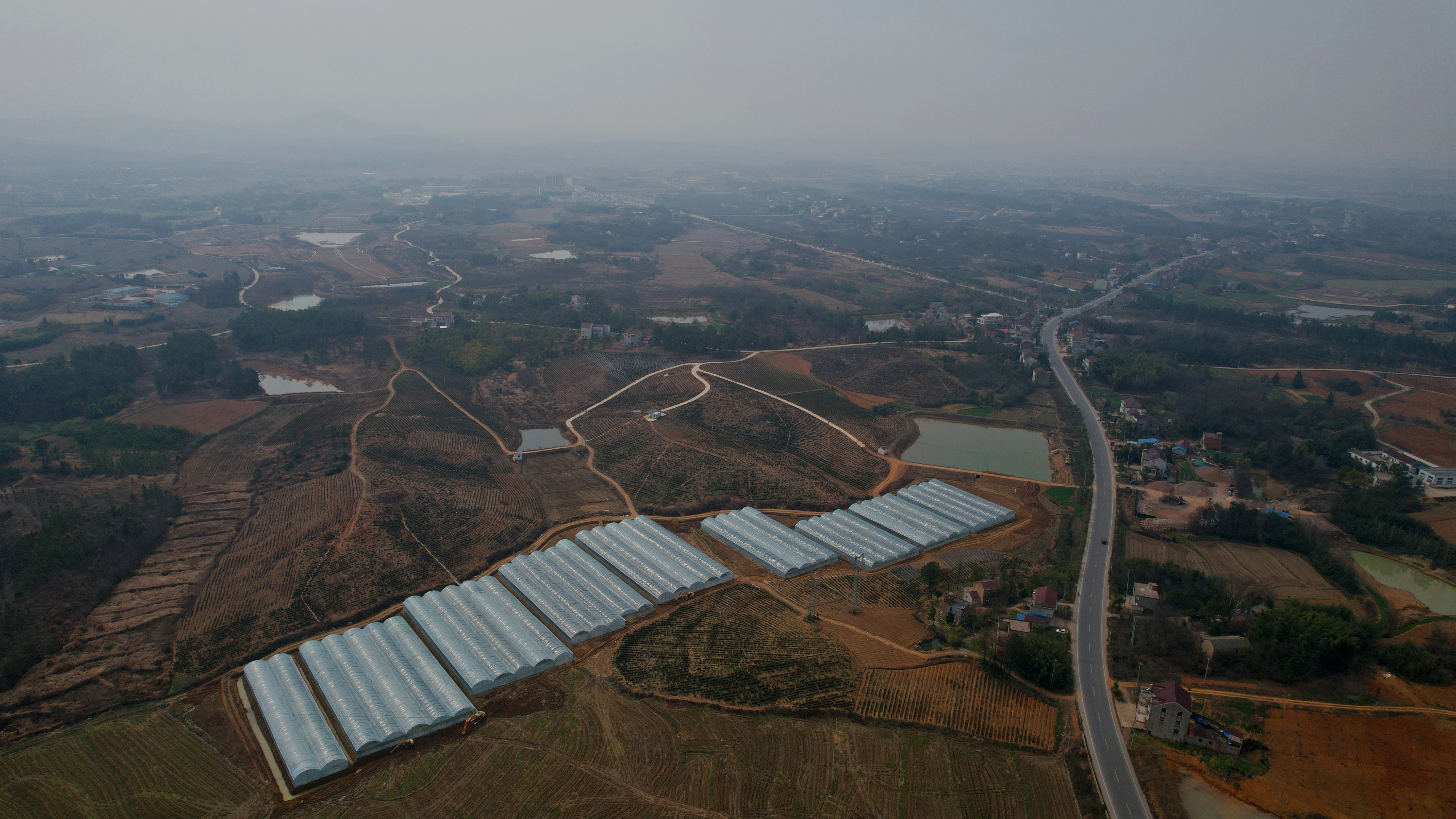 庐江泥河镇:三措并举 助推 乡村振兴"加速跑"