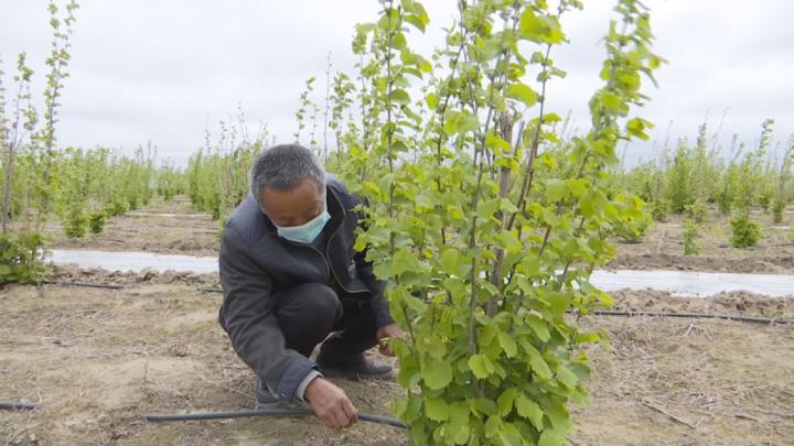 同江市同江镇永胜村:绿色生态产业铺就富民兴村幸福路
