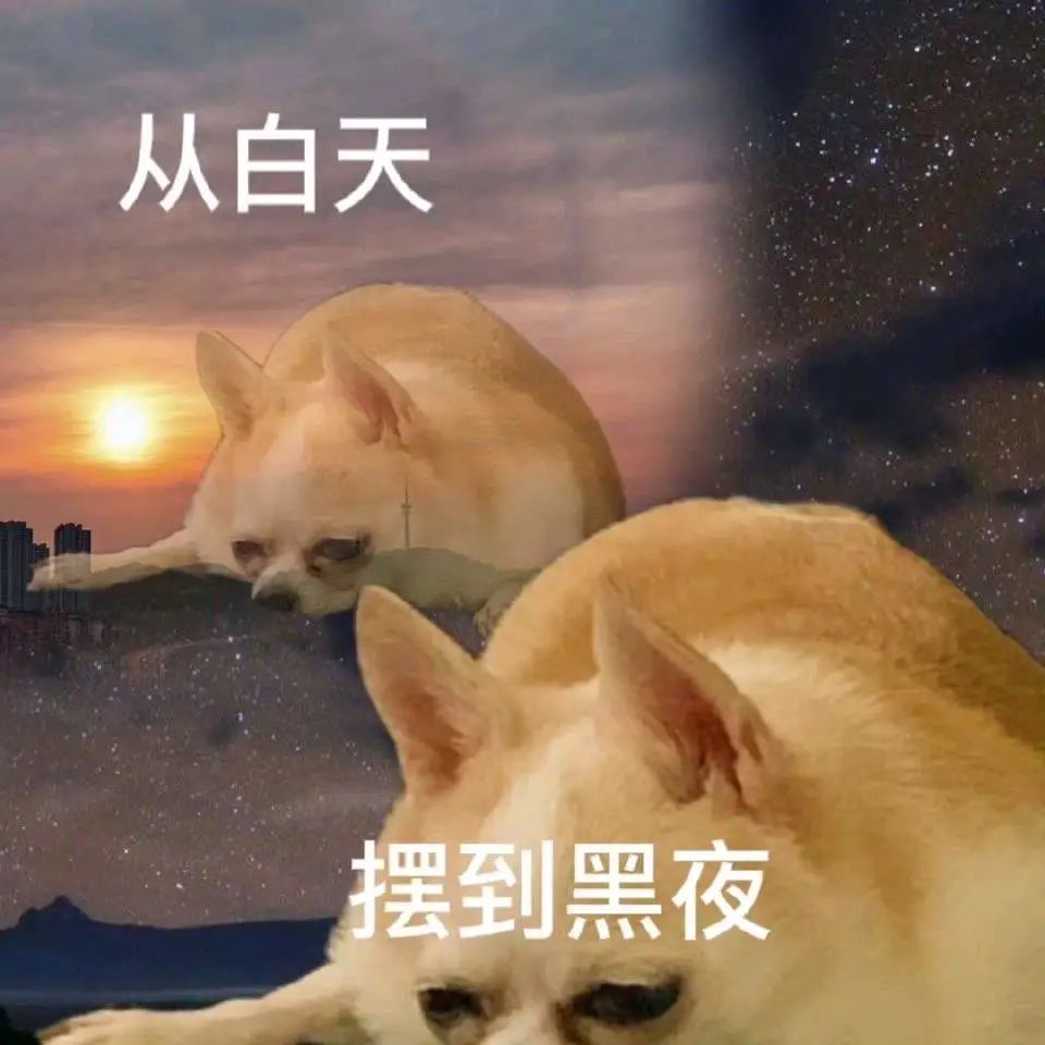 土味猫狗表情包