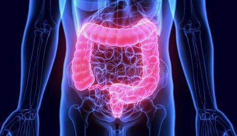 腹部出现的哪些特殊体征,对于疾病有特殊诊断意义?