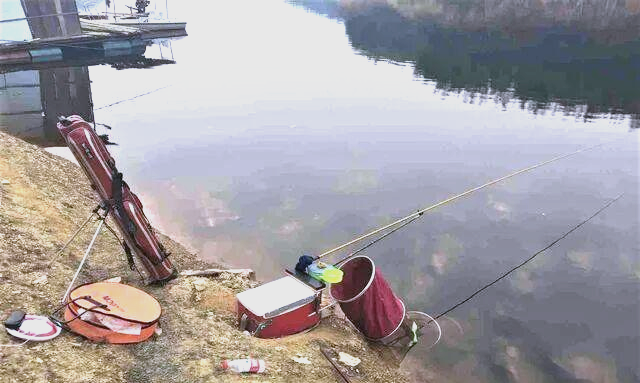 春季钓鱼指南：如何选择最佳钓位提高鱼获