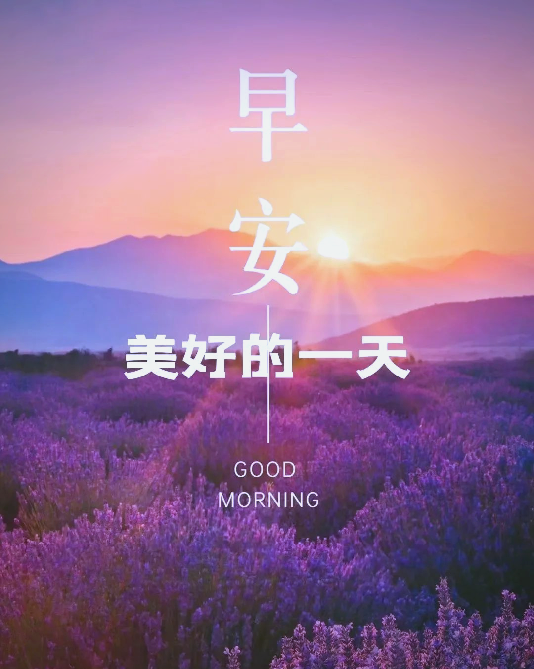 早晨好,正能量励志句子满满,暖心鼓励前行!