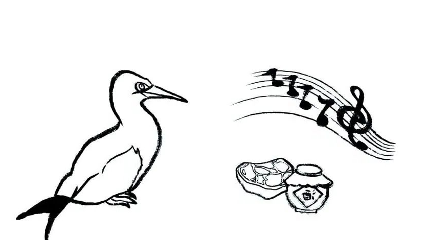 从鲁侯养鸟看尊重差异的智慧