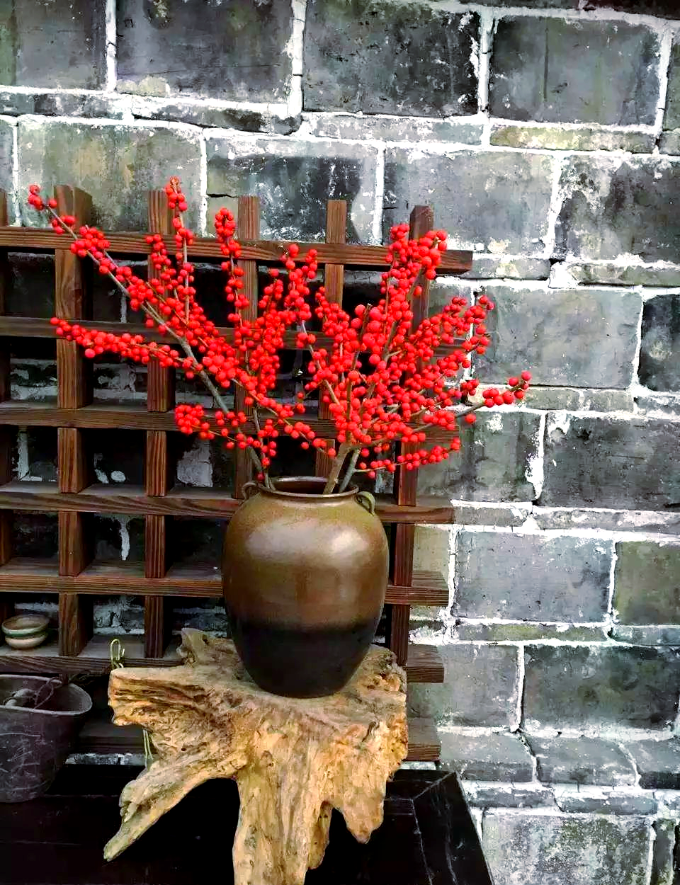 冬季六大红果盆栽,让你的家充满生机