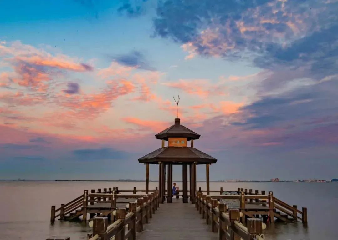 海鸥戏水,白鹭飞舞,大雁翱翔,万鸟齐飞,就在菩提岛!