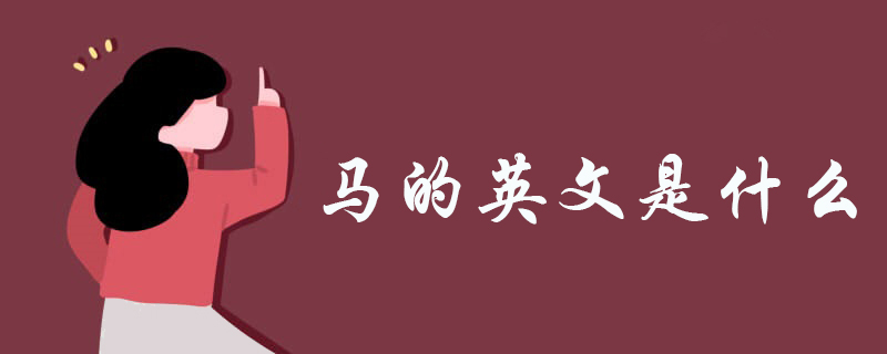马的英文是什么