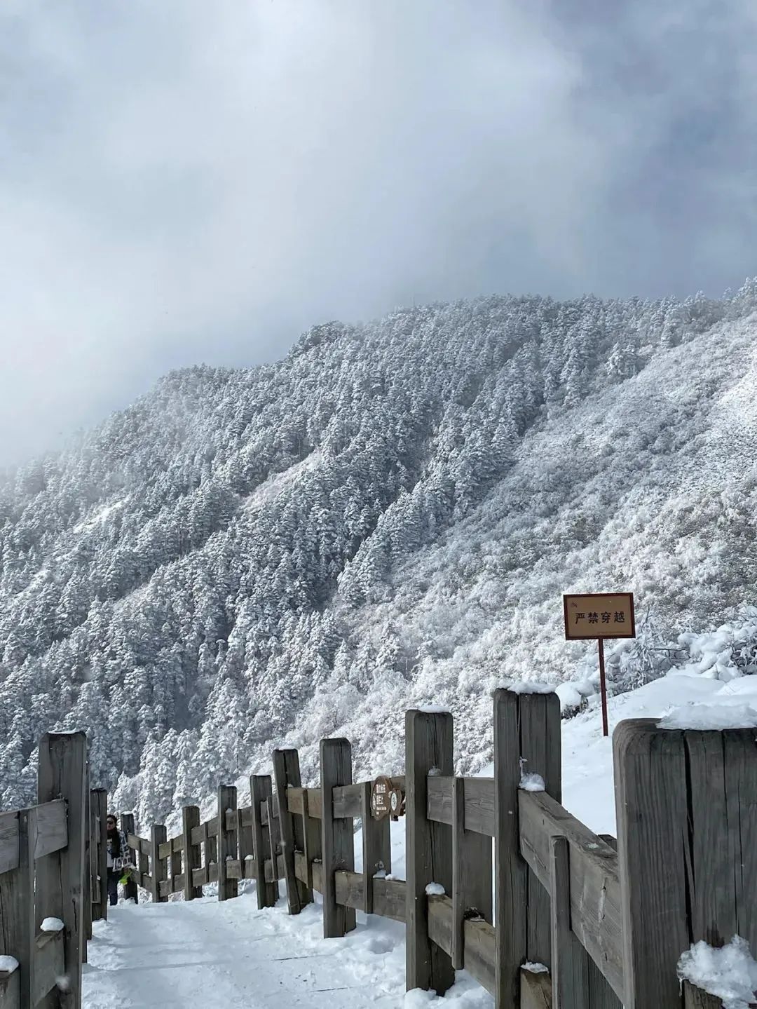 成都下雪照片图片