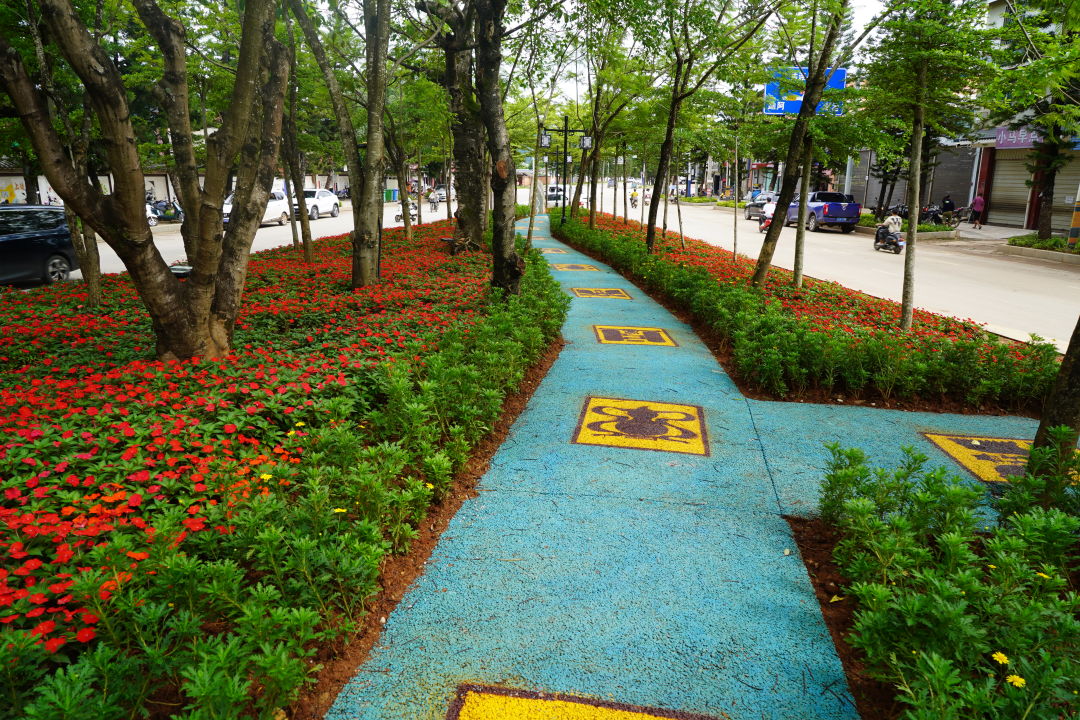 绿美孟连｜孟连又一个“口袋公园”上新！