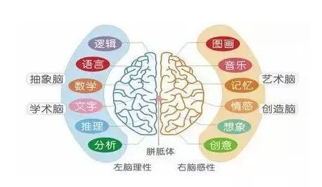 《最强大脑》国际记忆教练青岛开亲子公开课