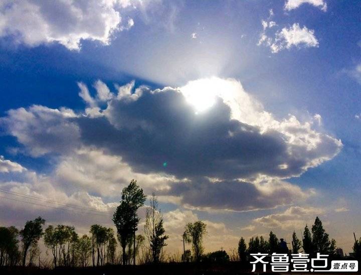 鄄城县彭楼镇麻寨中学:春之颂