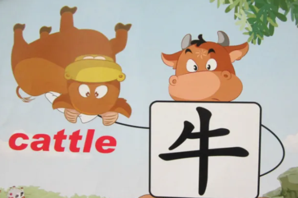 牛英语怎么说