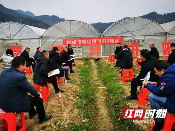 保靖碗米坡镇:党课开讲正当时 田间地头话发展