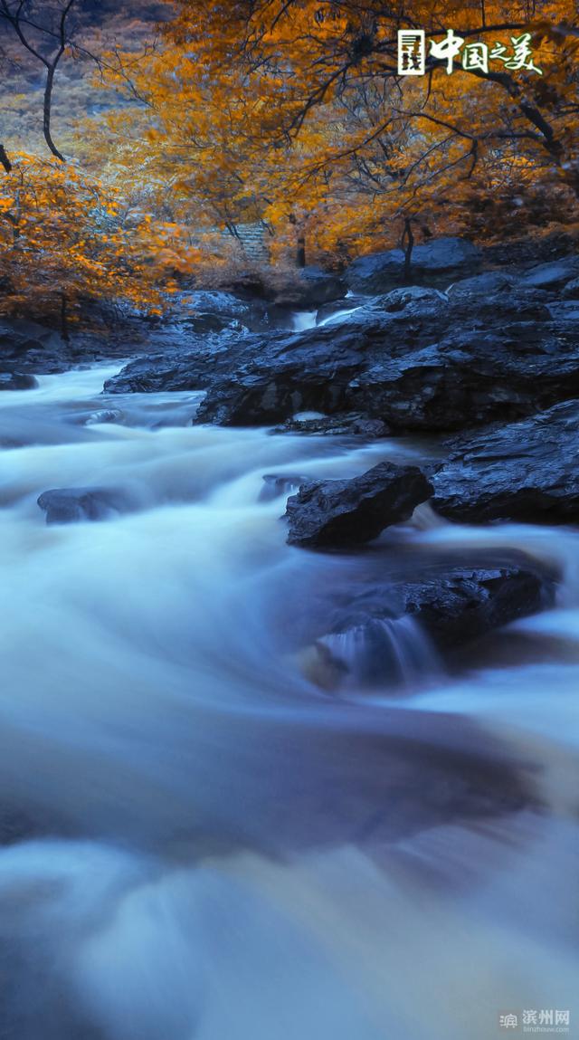 2021年36幅美图诉说:邹平,俺的家乡好