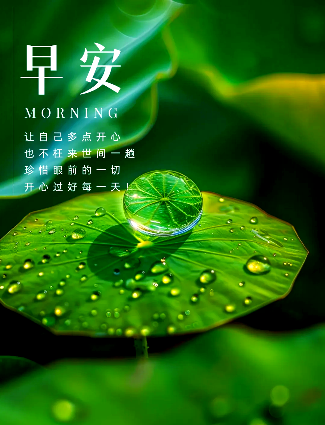 早安语录正能量句子精选,开启你的新一天!