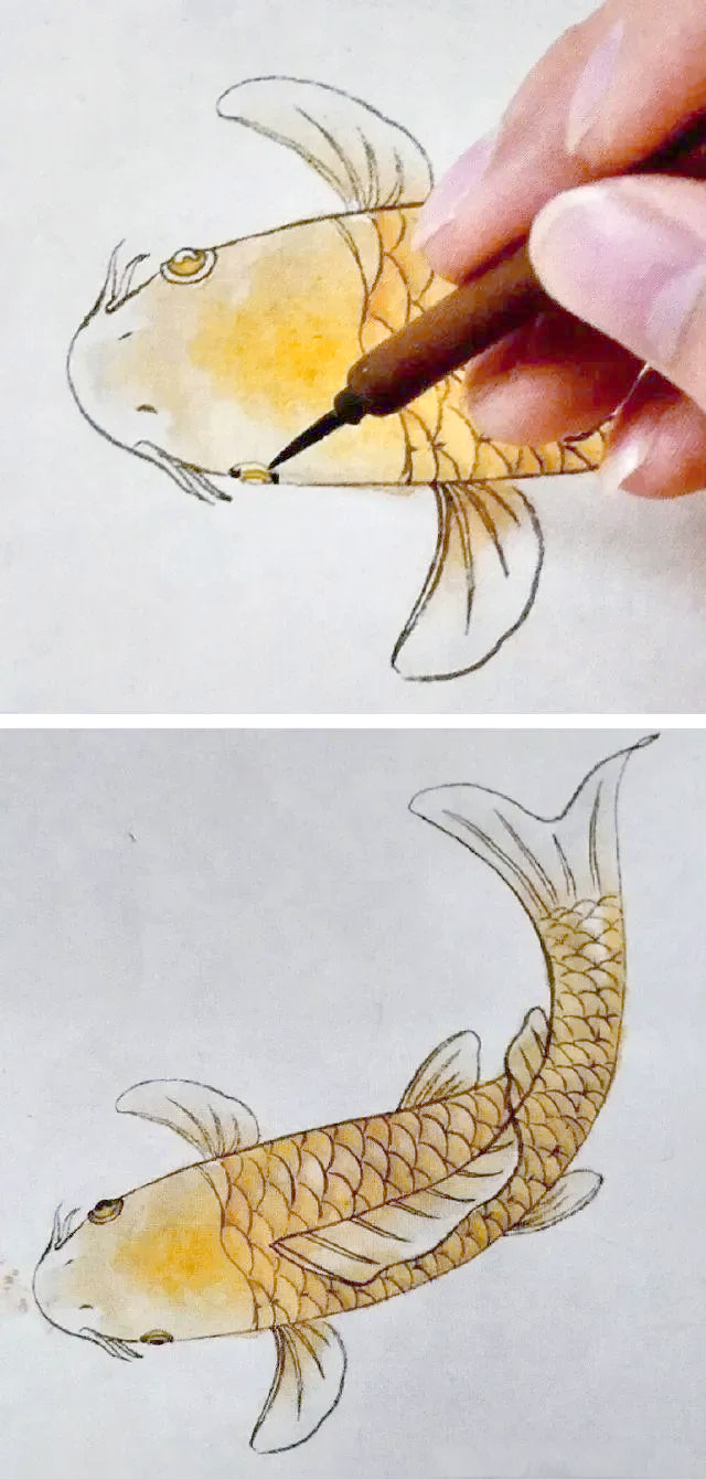教你绘制国画锦鲤鱼,步骤详解,成品惊艳