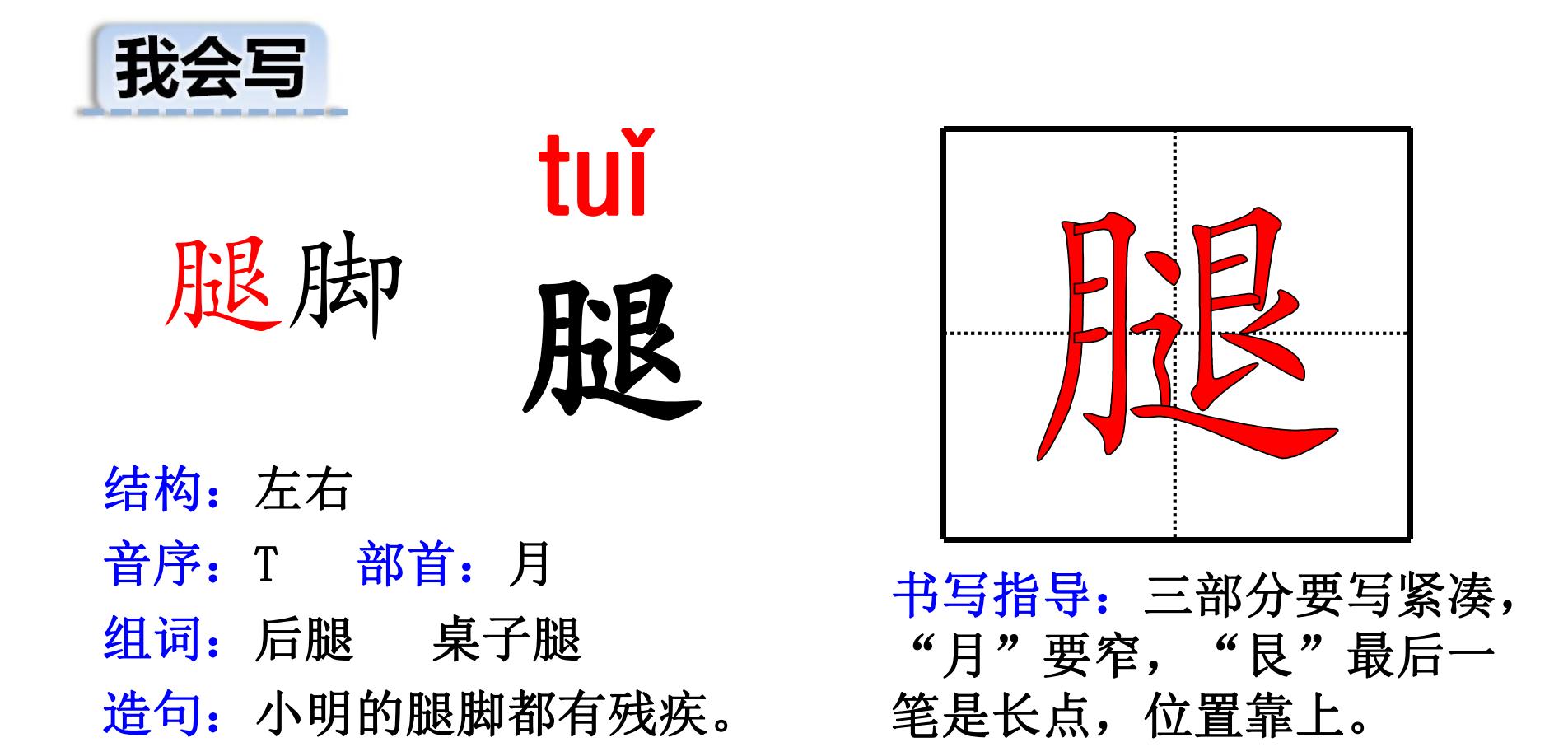 三年级上册语文·全套生字卡片偏旁部首 组词造句 拼音