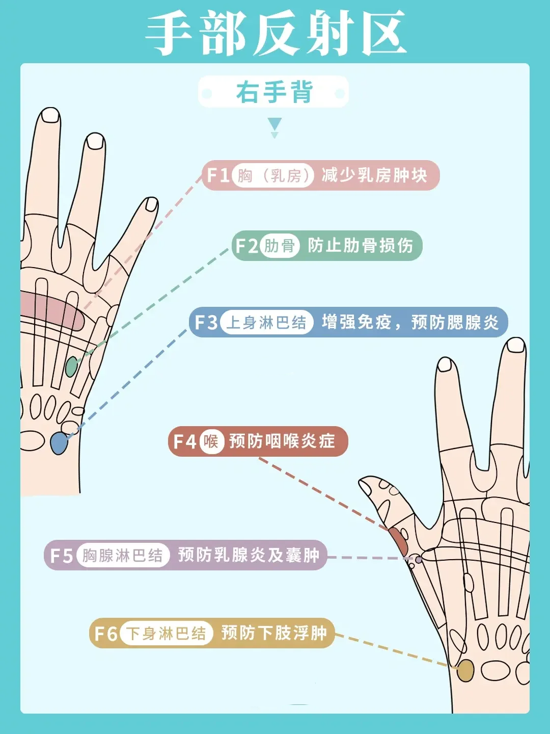 手部反射区按摩指南:6图掌握