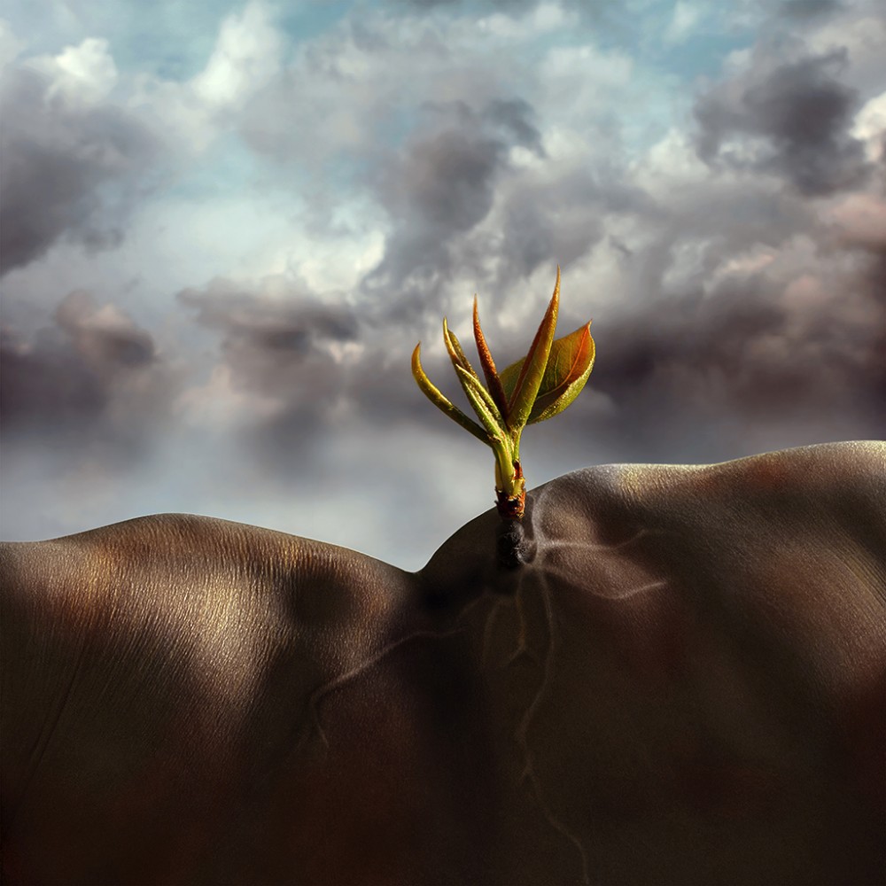 生命,沧桑着一种美丽