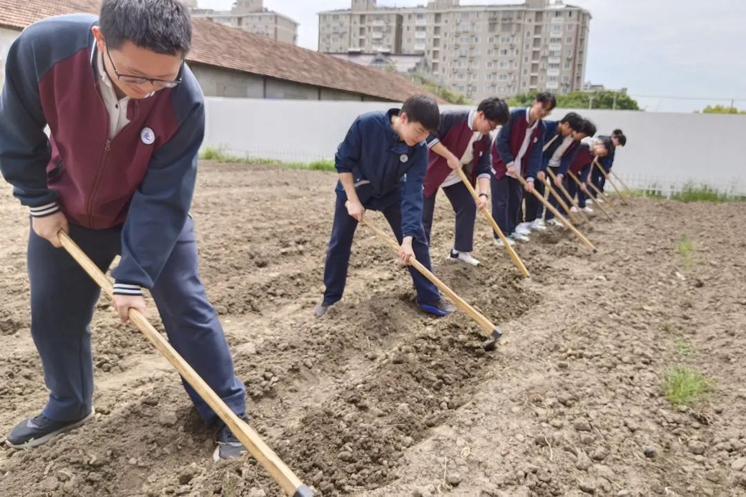 金华罗店中学图片