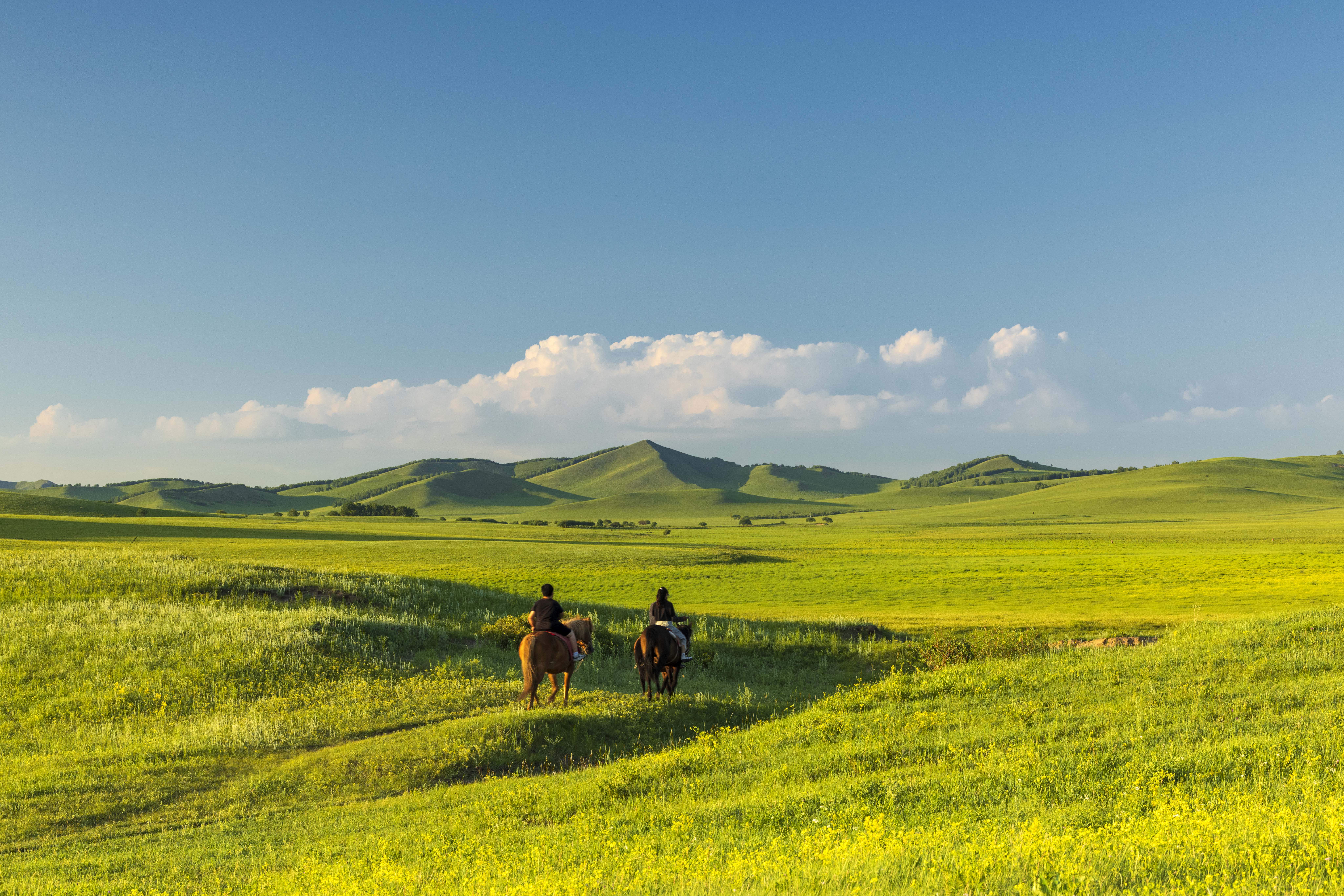 内蒙古赤峰克什克腾旗草原20℃夏天的自驾游