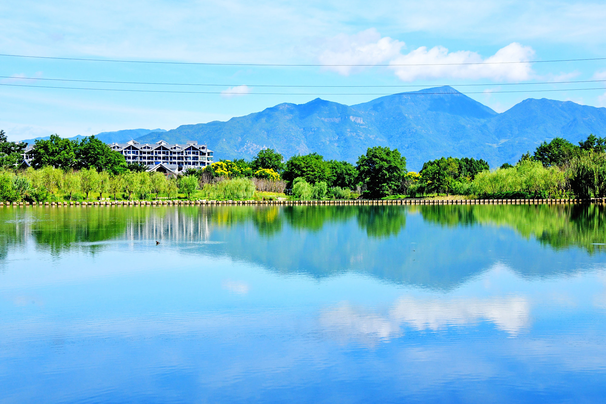 浙江仙居:荒滩变绿洲 乡村美如画 美丽经济助增收