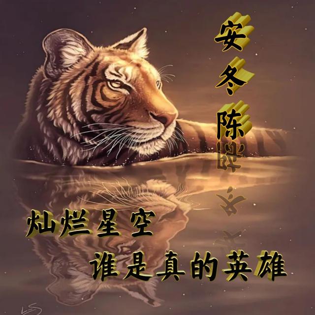 灿烂星空,谁是真的英雄?王者风范姓氏头像