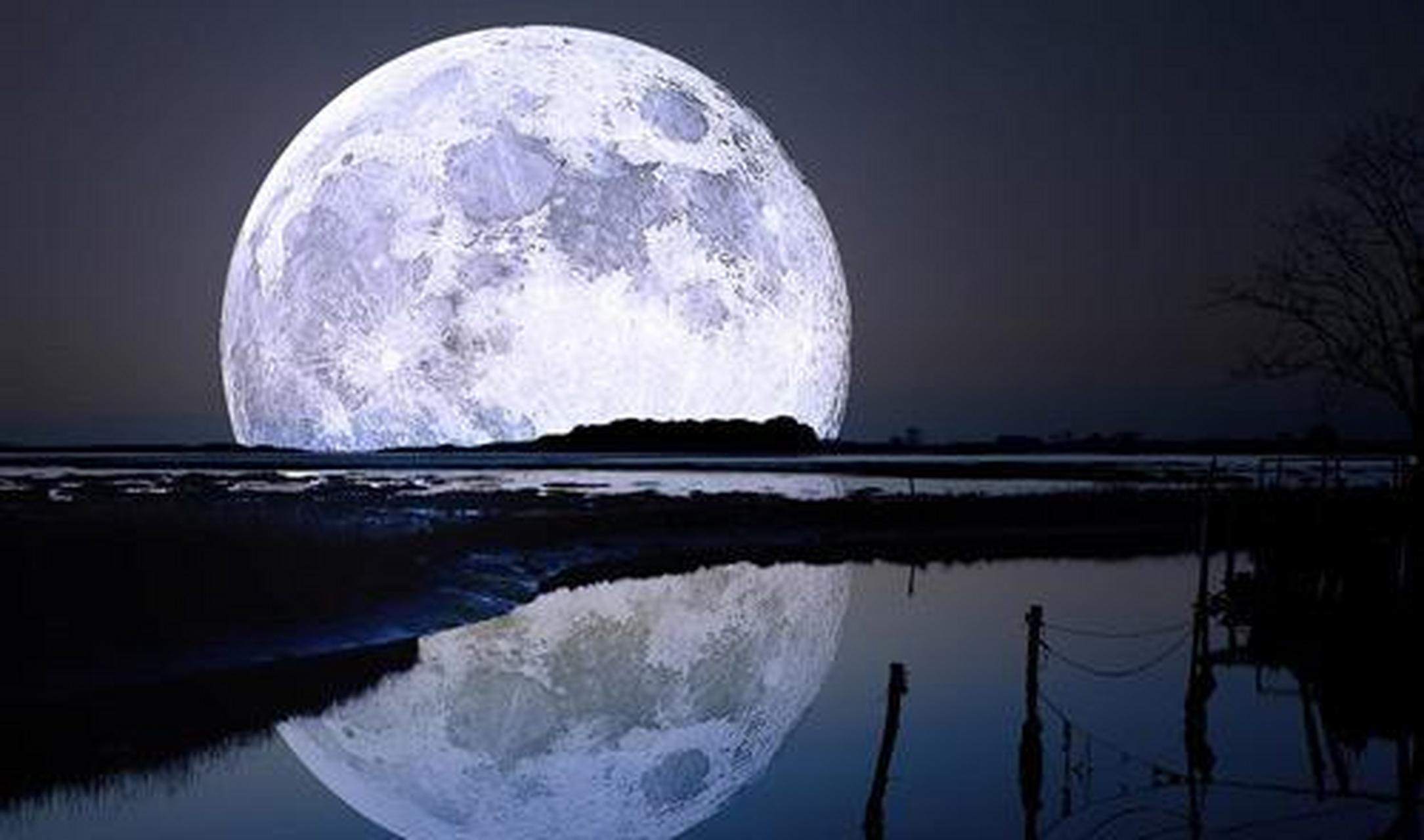 "谚语释义:百星之光不如月之光 "百星之光,不如月之光",比喻个人能力