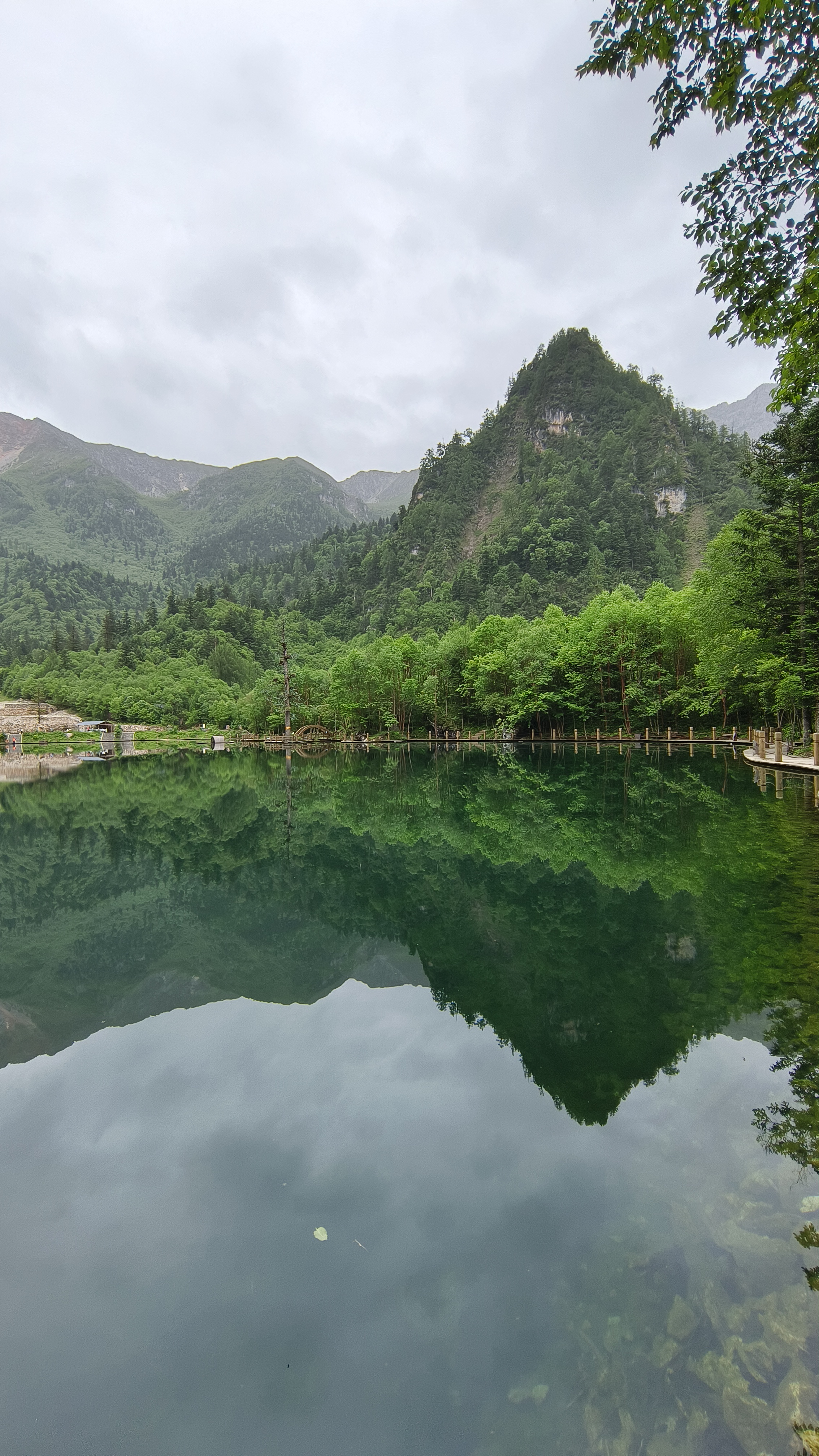 青海甘肃环线游之官鹅沟