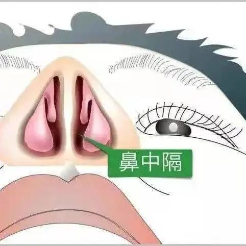 耳鼻喉科医生亲测,怎样捅鼻子更"爽"?