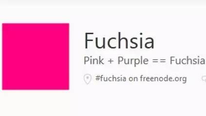 fuchsia是什么颜色图片