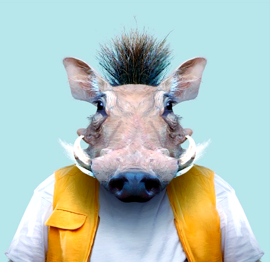 动物肖像走红,这些"衣冠禽兽"有哪些趣味瞬间