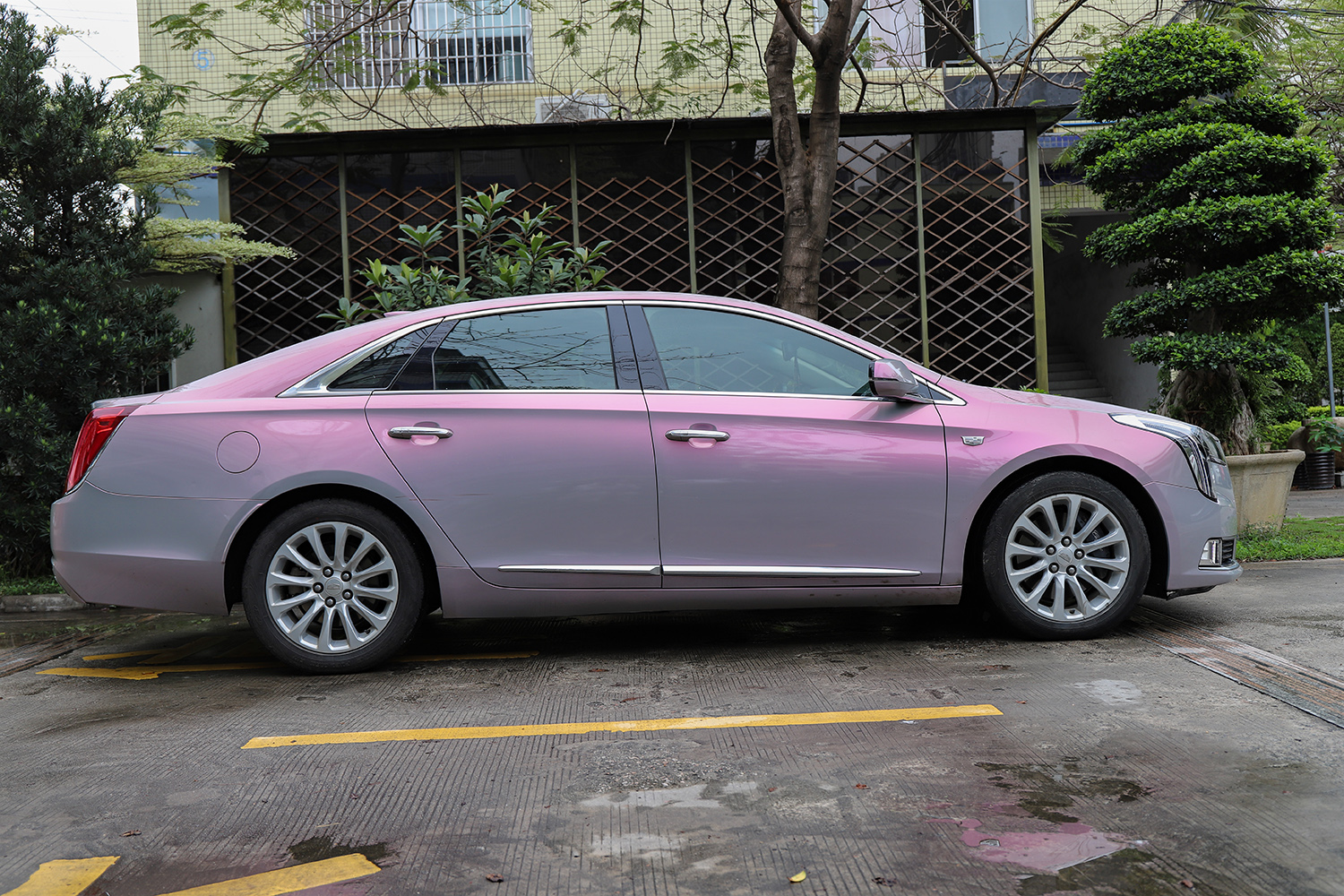 黛尔丝丹妮改色膜 凯迪拉克xts梦幻火山灰案例