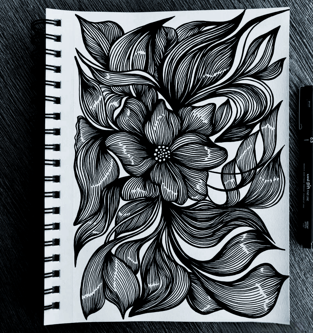 黑白线描:用简单艺术征服视觉世界的魅力