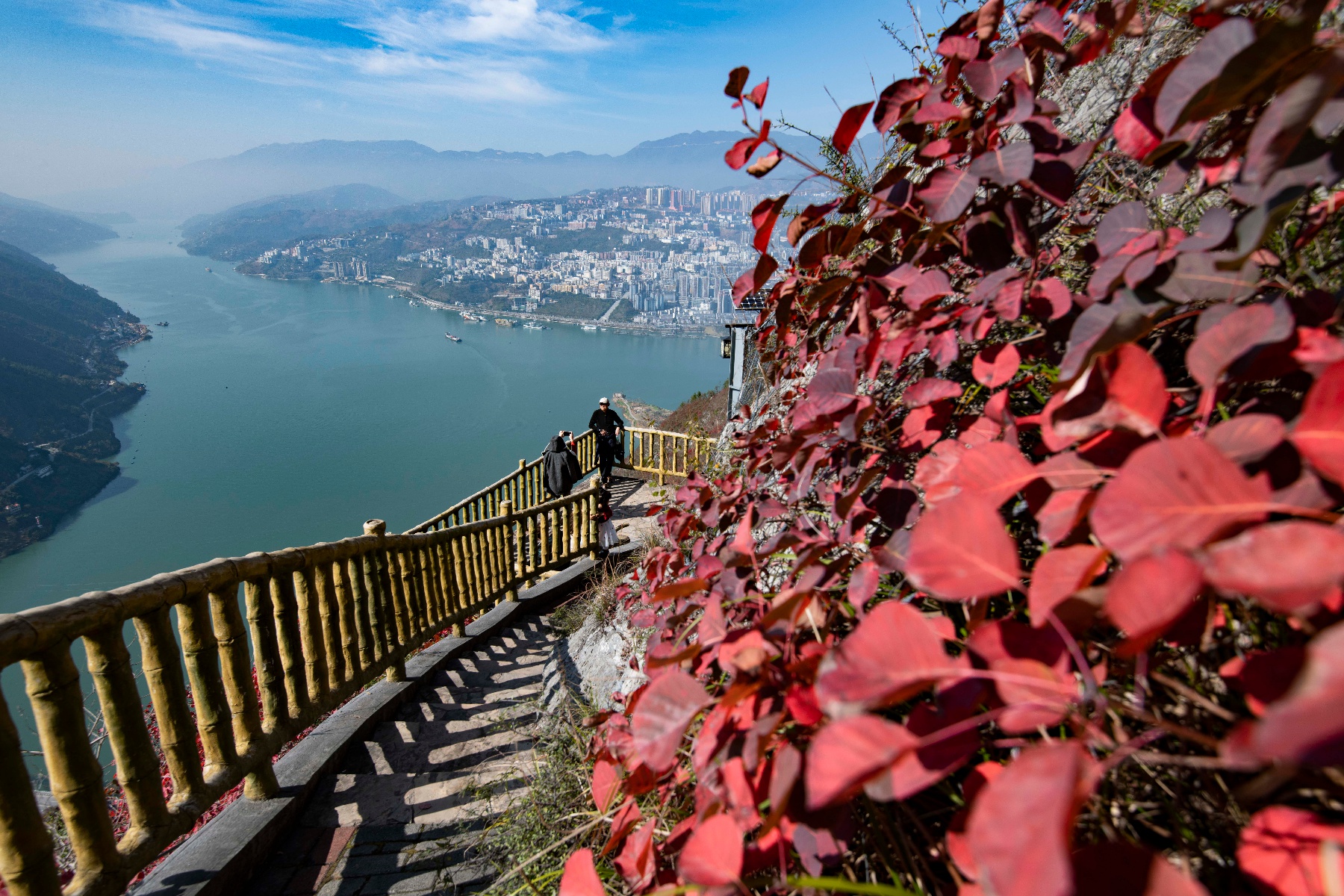 视觉重庆|巫山:红叶漫山,游客醉