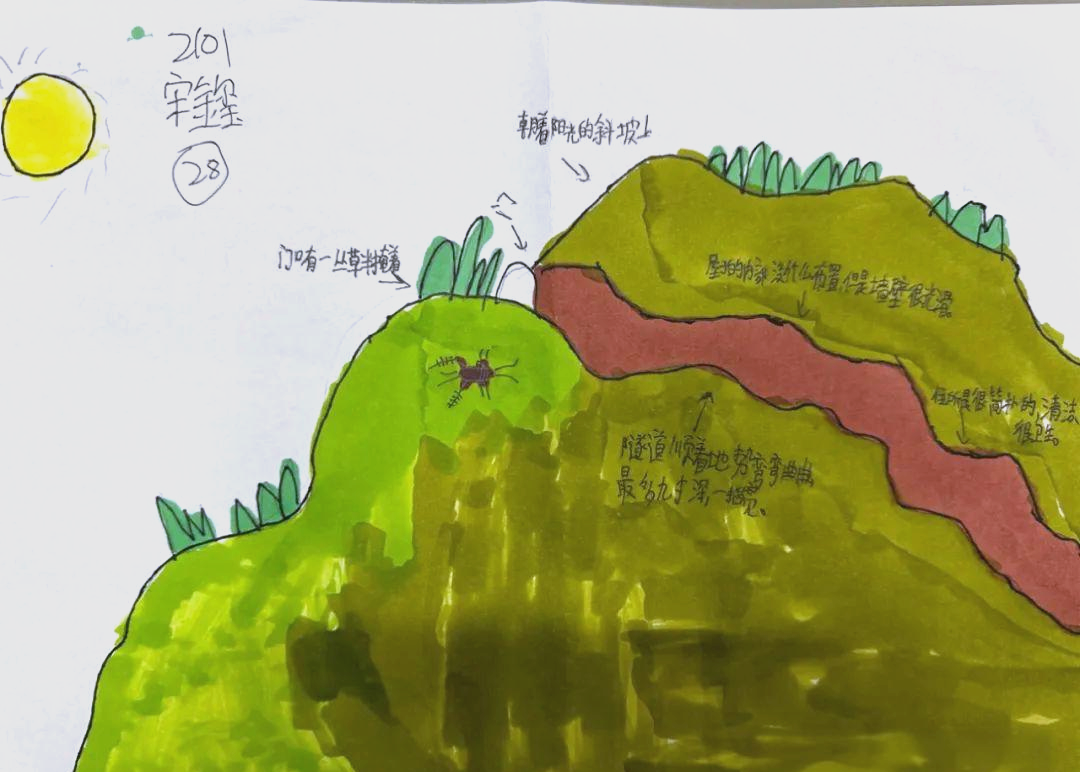 孩子眼中的蟋蟀住宅:创意与设计的碰撞