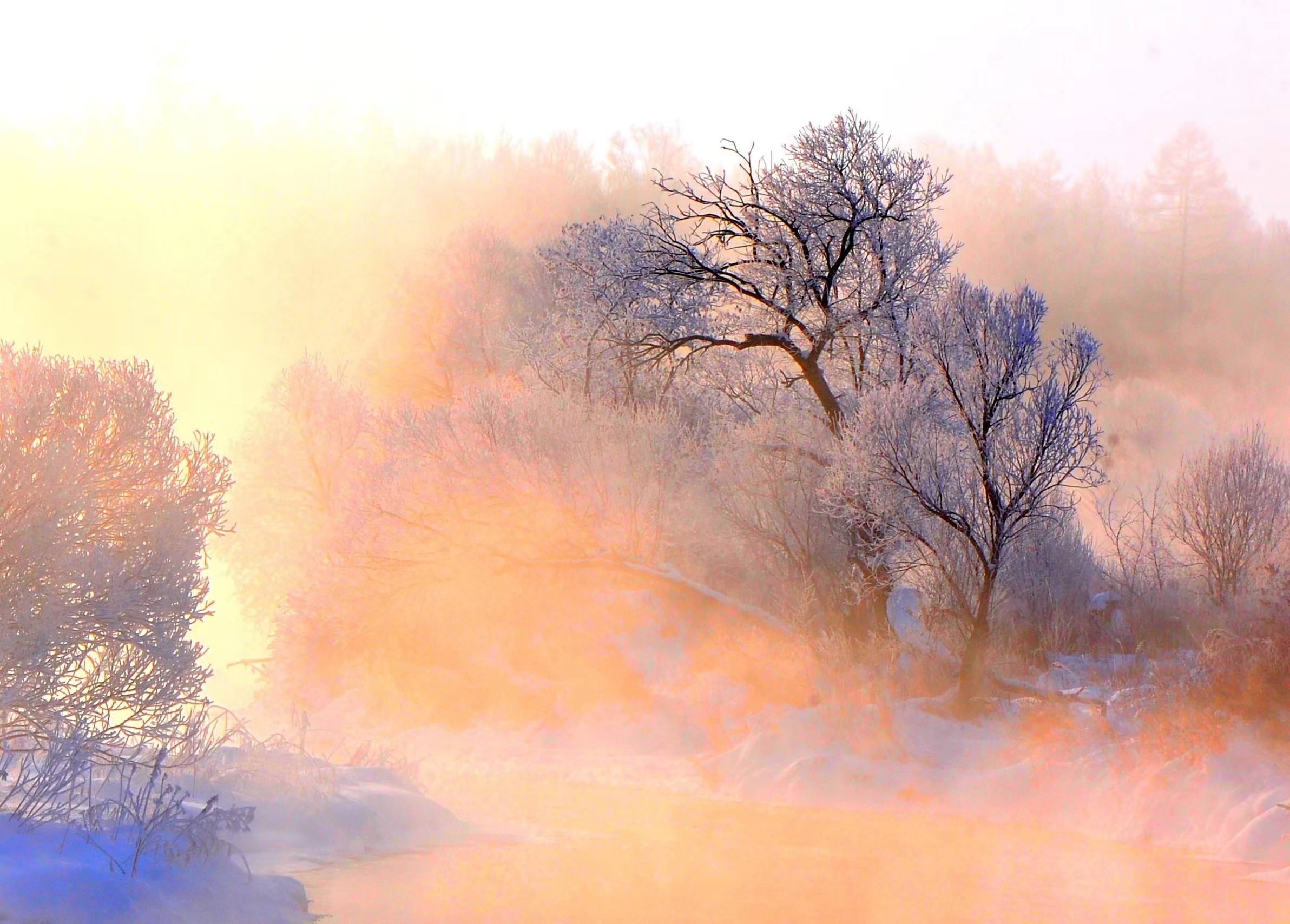 伟大变革|唤醒雪原,不负青山——林海雪原的时代答卷