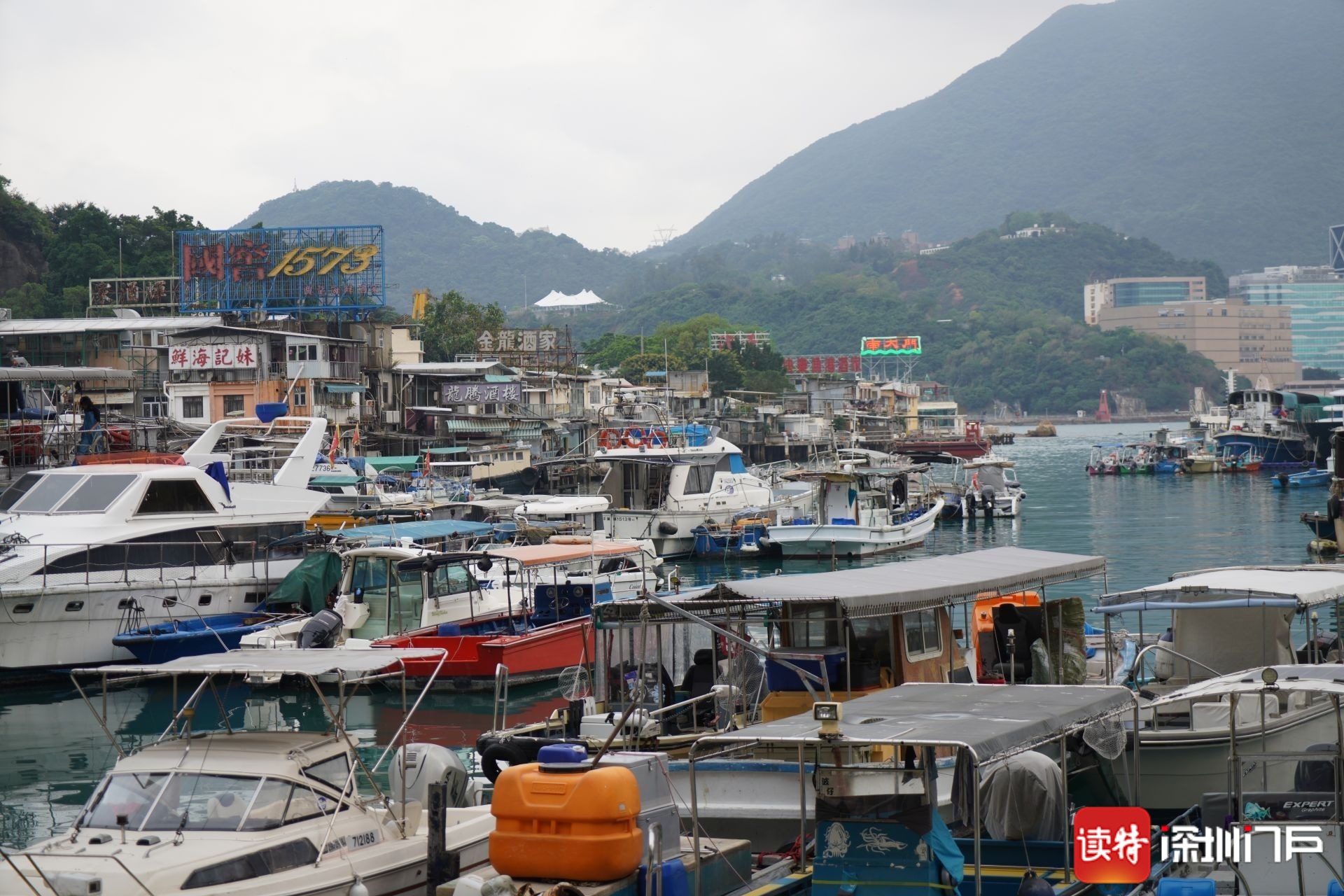 深港环游记|深圳&香港都有地名叫"鲤鱼门",这里能找到锦鲤吗?