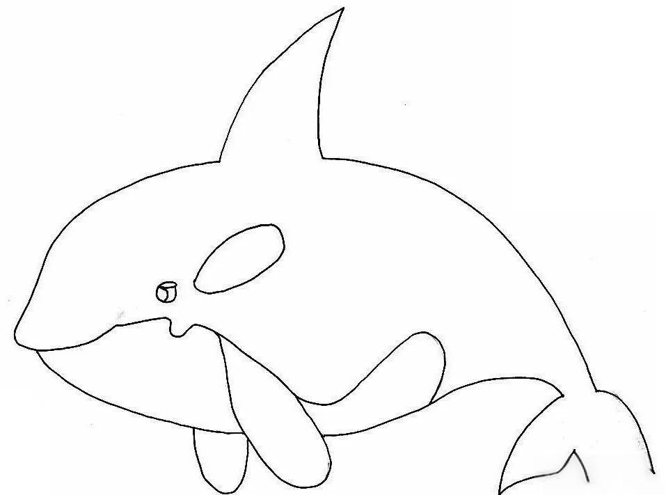 多种鲸鱼简笔画图片精选