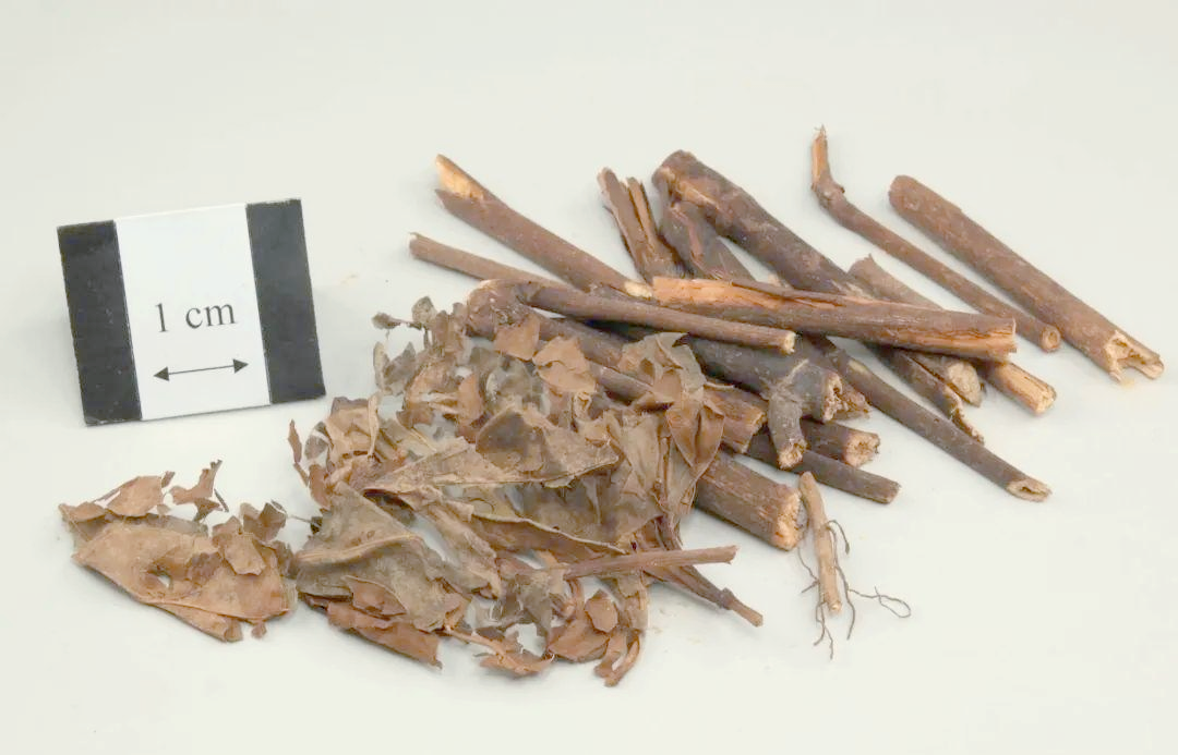 的多样别名与功能解析