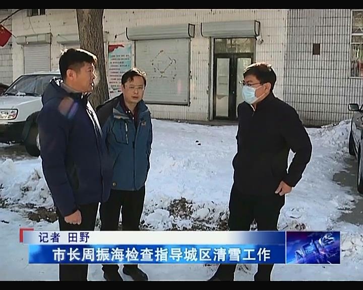 市长周振海检查指导城区清雪工作