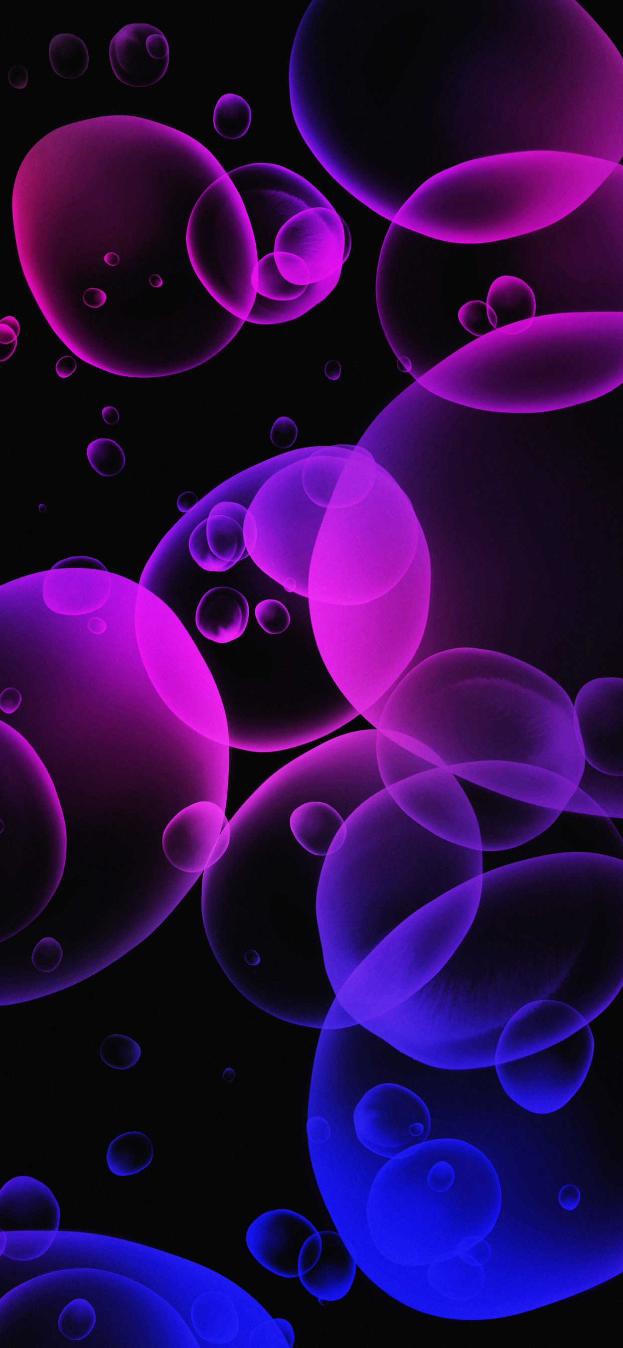 1242_2687竖版 竖屏