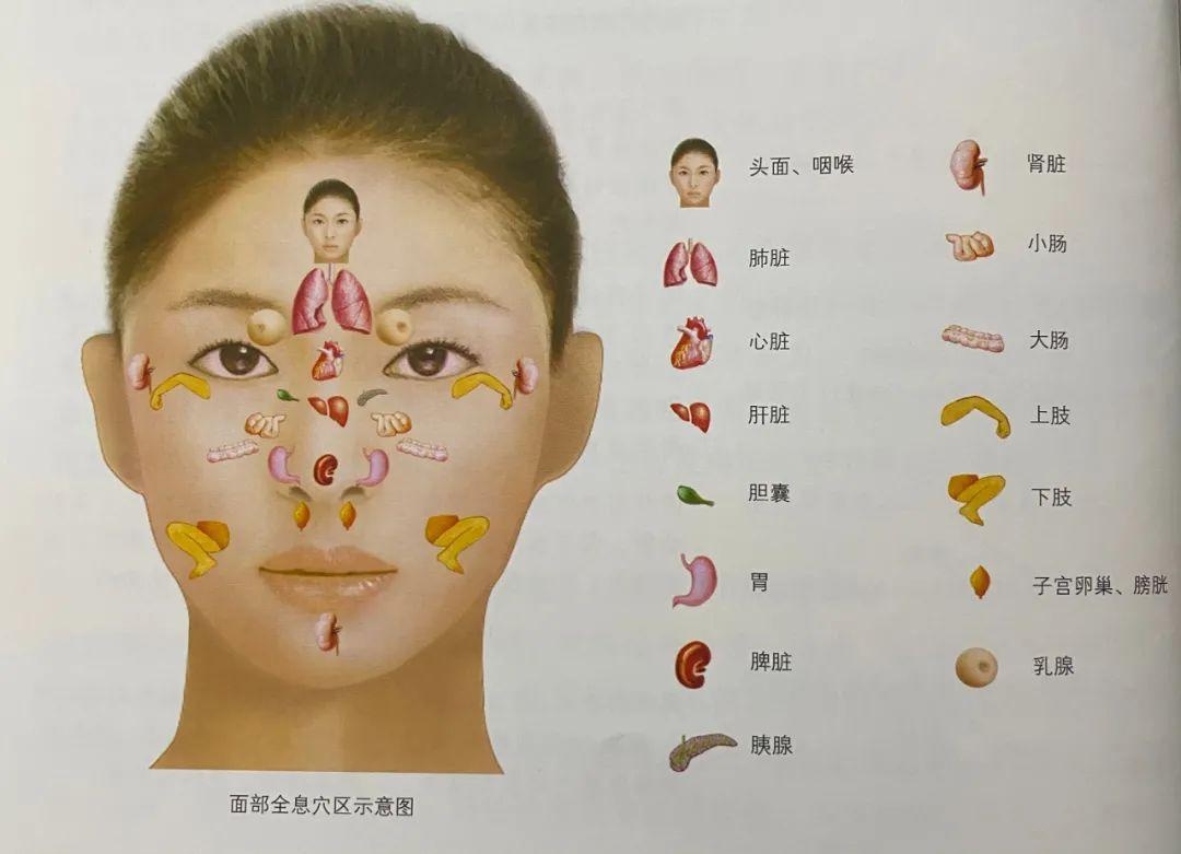 面部刮痧的秘密