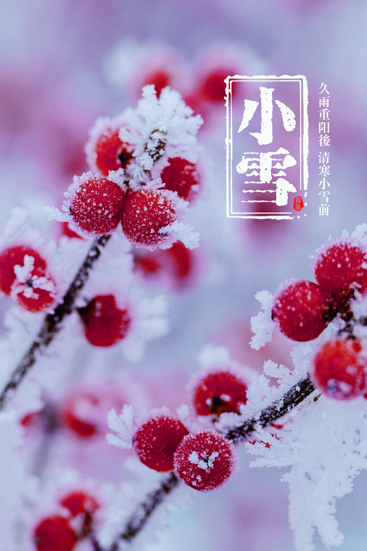 报节气|清寒小雪前