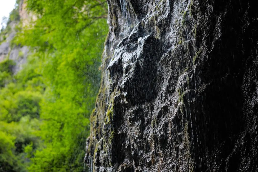 【光影漳縣】山河已秋,帶你去看一幅山水畫卷可好