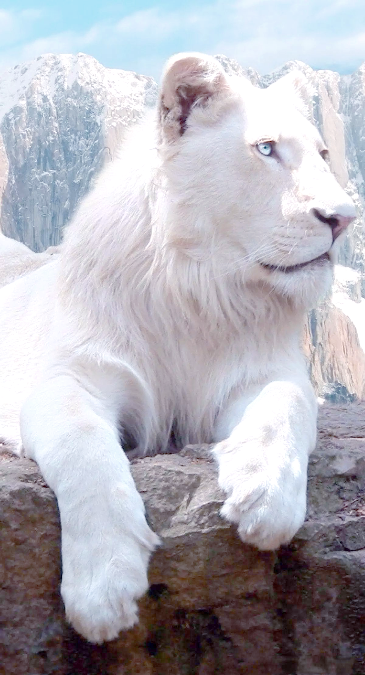 白狮的起源与生存奥秘,大自然的传奇