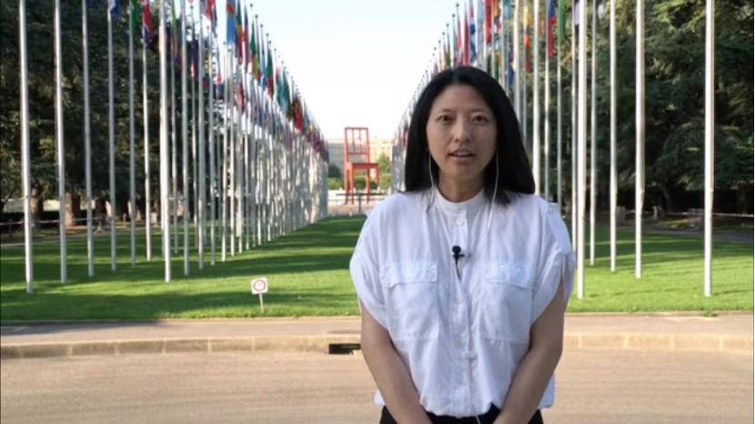 总台记者看世界丨在日内瓦分会场感受cop14中国力